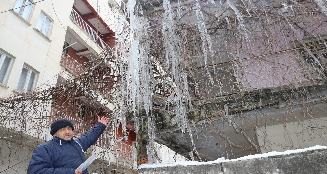 Siirt’te dondurucu soğuklar ilginç görüntüler oluşturdu