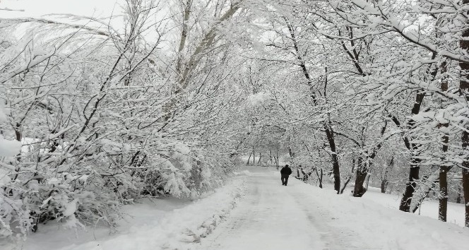 Hizan’da kar yağışı nedeniyle okullar tatil edildi