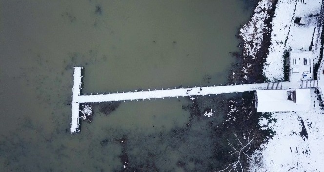 (Özel) Kuş cenneti Efteni Gölü Drone ile görüntülendi