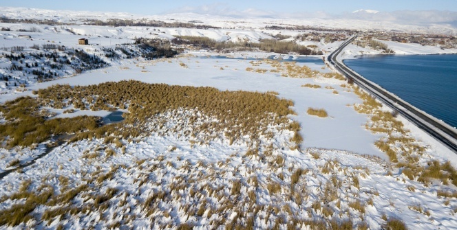 Ahlat’taki kuş cenneti dondu