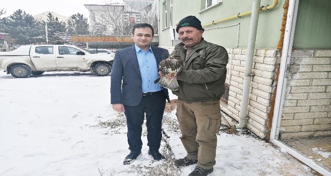 Yaralı doğana ilçe tarım sahip çıktı