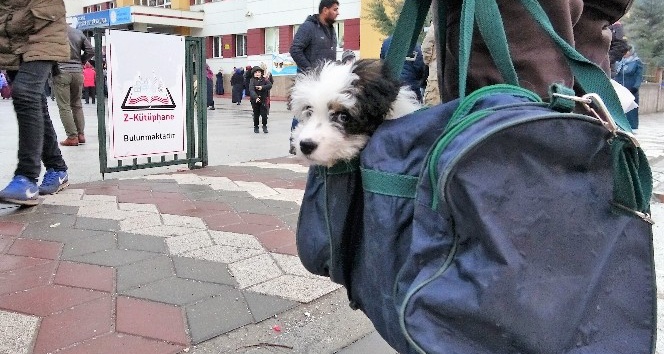 Yavru köpeğini spor çantasında taşıyor