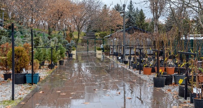 Ankara’da yerli bitki üreticileri kazanacak
