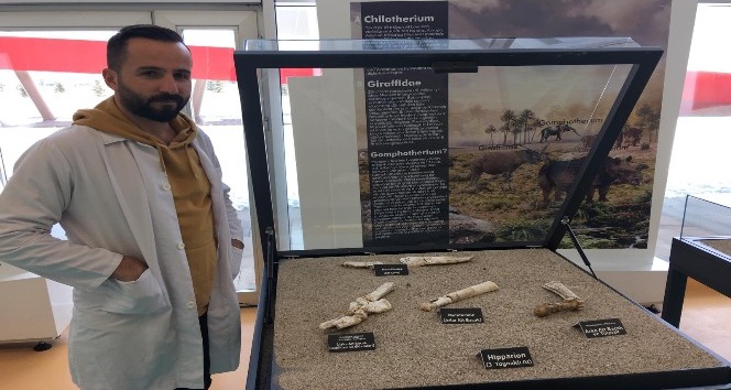 Kayseri’de 7 buçuk milyon yıllık 3 toynaklı at fosilleri bulundu