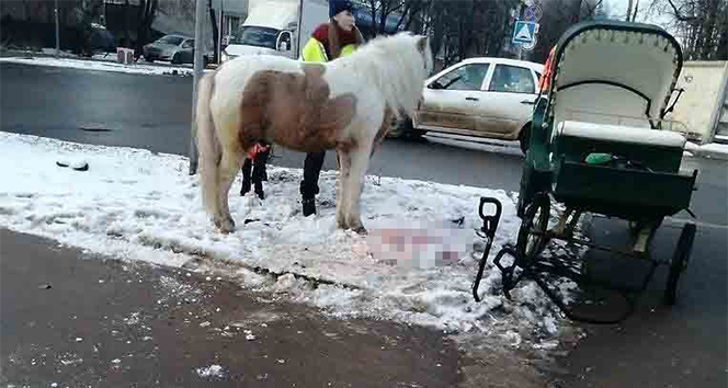Rusya&#039;da at ile otomobil çarpıştı