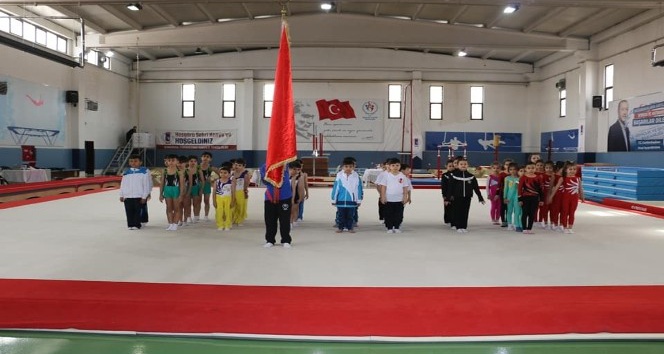 Analig Cimnastik’te Kayseri kız ve erkek takımları yarı finale yükseldi