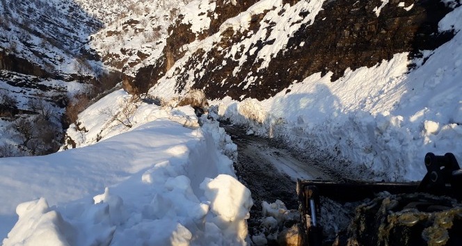 Şırnak’ta kardan kapanan köy yolları ulaşıma açıldı