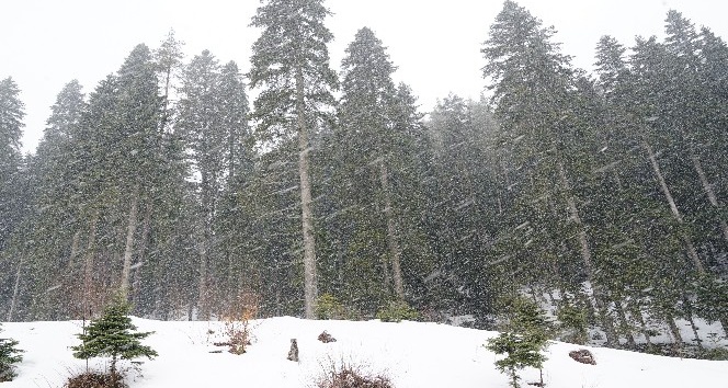 Kastamonu’da Ilgaz Dağında kar yağışı etkili olmaya devam ediyor