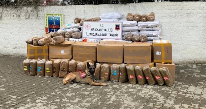 Kargo nakliye kamyonunda 3 ton kaçak tütün ele geçirildi