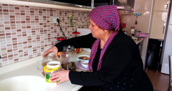 Üretimde sınır tanımıyor, şimdi de çam kozalağı sirkesi yaptı