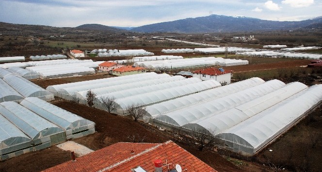 Seracılık köyden şehre göçü durdurdu