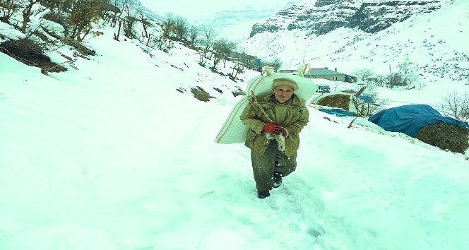 Şırnak’ın dağ köylerinde zorlu yaşam