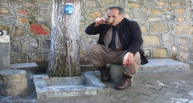 Donan musluk borusuna ilginç çözüm, ağaç gövdesini oydu