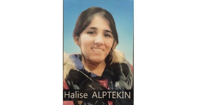 Jandarma ikna etti, kadın terörist teslim oldu