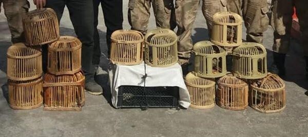 Canlı mühreyle kaçak kınalı keklik avına 39 bin TL para cezası