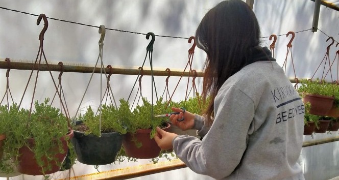 Kırıkkale’de park ve yeşil alanlarda yaz bakımı
