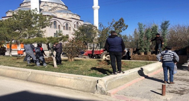 Yerköy’de ağaçlandırma çalışmaları devam ediyor