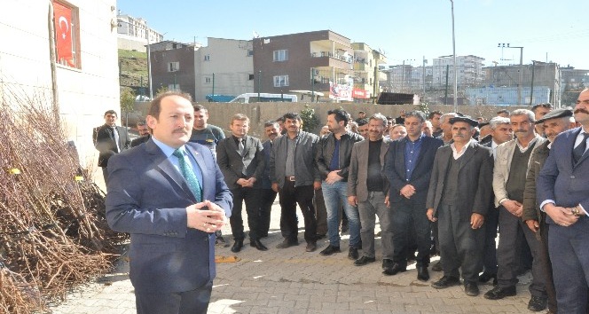 Şırnak’ta çiftçilere 27 bin 700 adet meyve fidanı fidan dağıtıldı