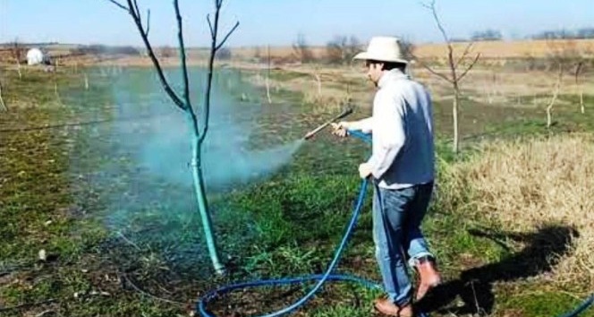 Çiftçilere “bordo bulamacı” uyarısı