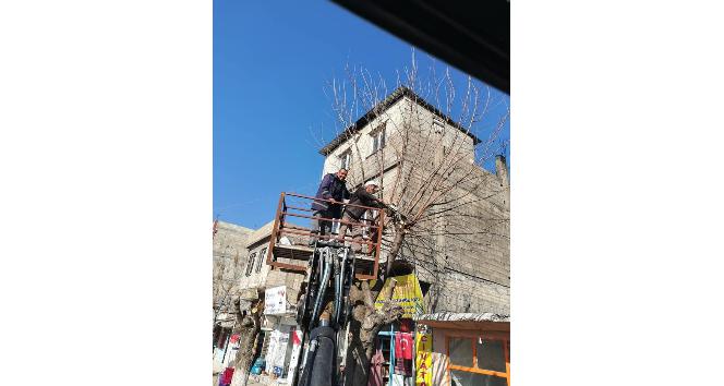 Elbeyli belediyesi çalışmaları hız verdi