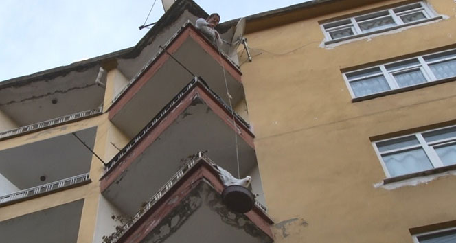 Rizeli genç kadın kanadı balkondaki saksı ile demir korkuluk arasına sıkışan martıyı kıvrak zekası ile kurtardı