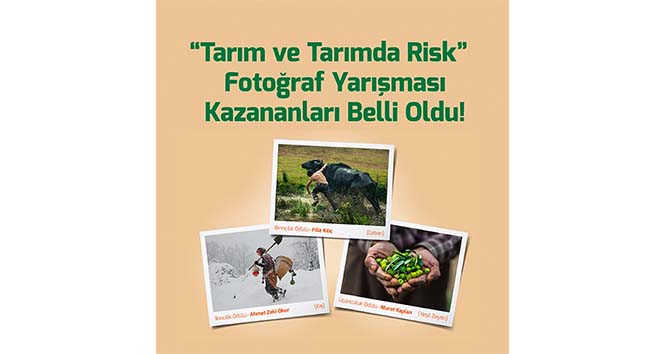 TARSİM Fotoğraf Yarışması sonuçlandı