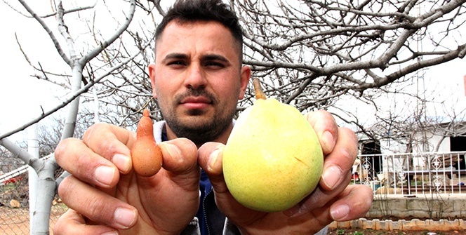 Bu yumurta görenleri şaşkına çevirdi