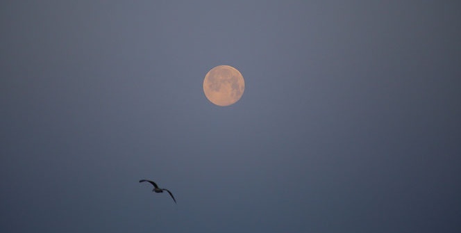 Süper Ay'ın kartpostallık doğuşu ve batışı