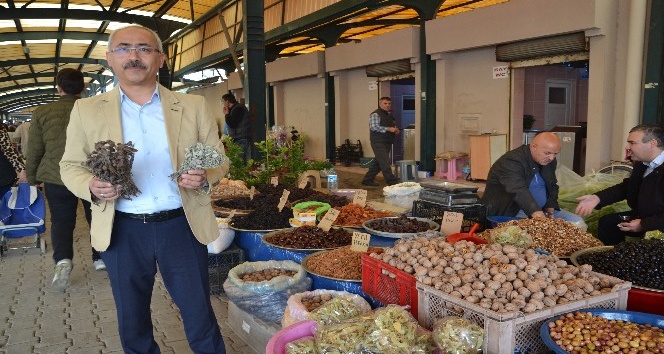 (Özel) Korana virüsü salgınına karşı virüs savar bitkiler