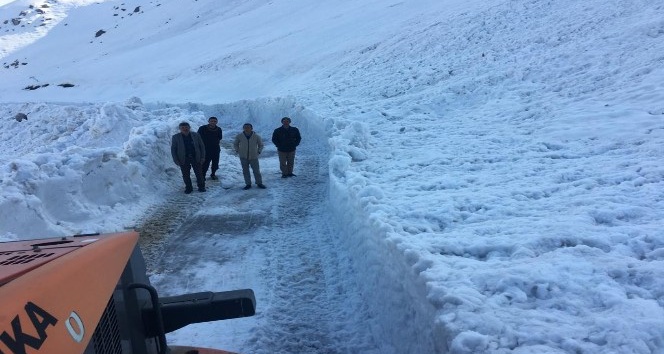 Kozluk’ta kardan kapanan köy yolları ulaşıma açıldı