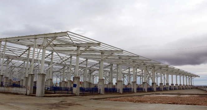 Boğazlıyan’da hayvan pazarı kapatıldı