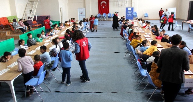Erzincan’da Akıl ve Zeka Oyunları İl Turnuvası yapıldı