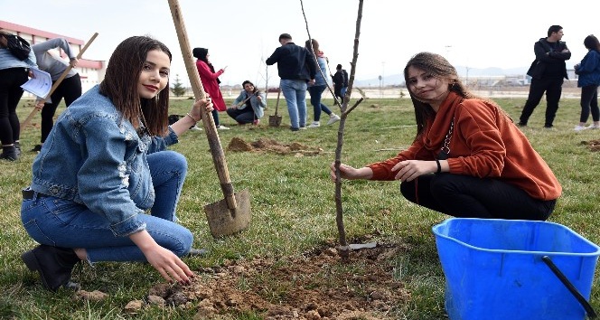 Üniversite öğrencileri İdlib şehitleri anısına 450 fidan toprakla buluşturdu