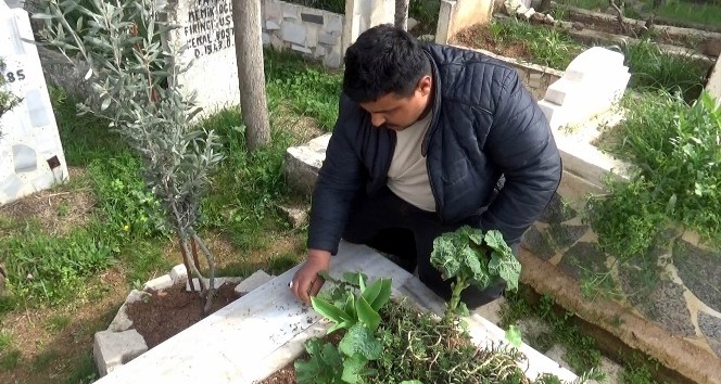 Sivil şehidin mezar taşını çaldılar