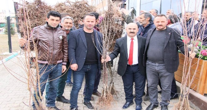 Selim Belediyesi’nden her eve bir meyve ağacı