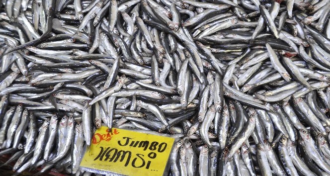 Afyonkarahisar’da 10 liraya satılan hamsi balığına yoğun talep