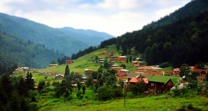 Doğu Karadeniz’de ‘biyokaçakçılık’ uyarısı