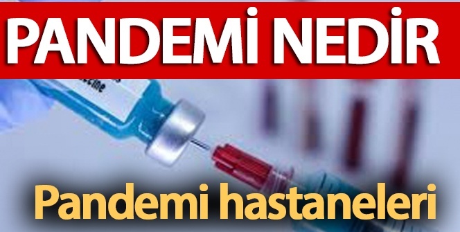 Hangi hastaneler pandemi hastanesi yapıldı? Pandemi NEDİR