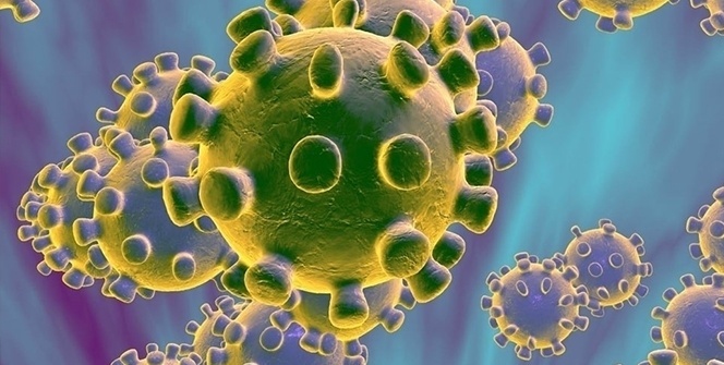 Çin’de yeni virüs kabusu: Hanta - HANTA VİRÜSÜ nedir?