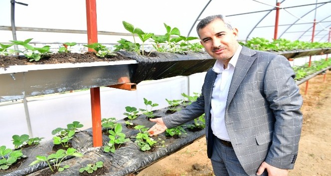 Başkan Çınar, Yeşil Gıda Seracılık Projesini inceledi
