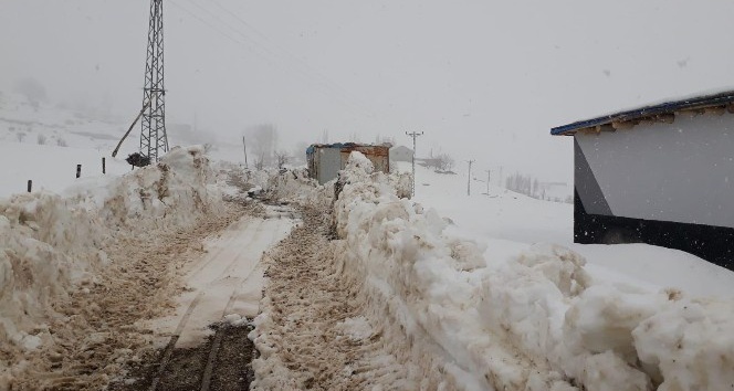 Beytüşşebap’ta kar nedeni ile kapanan köy yolları açılıyor