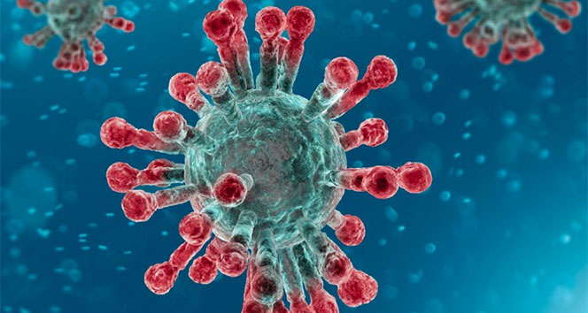 Koronavirüs ile ilgili haber sayısı 5 milyona yaklaştı