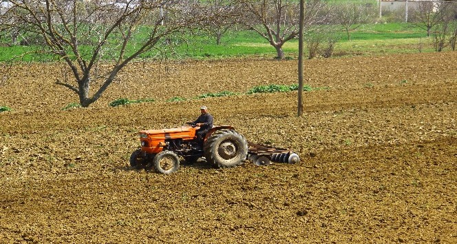 Yasakla birlikte, Aydın’da tarım arazilerinin çehresi değişti