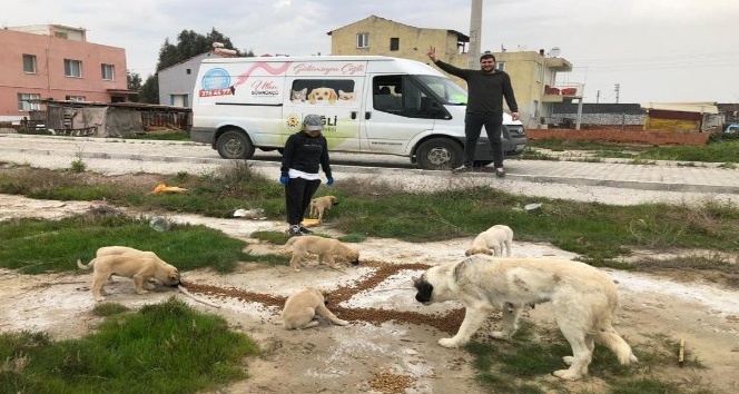 Çiğli Belediyesi sokak hayvanlarını unutmadı