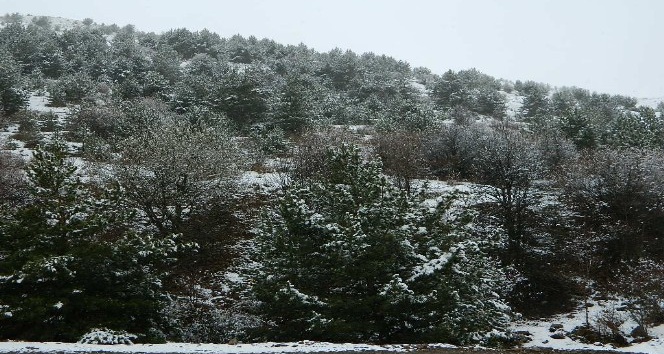 Posof’ta yüksek kesimlerde kar etkili oluyor
