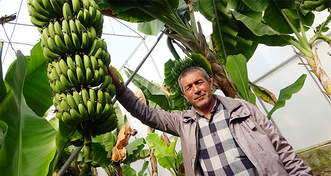 Korona&#039;ya inat Türk çiftçisi üretiyor