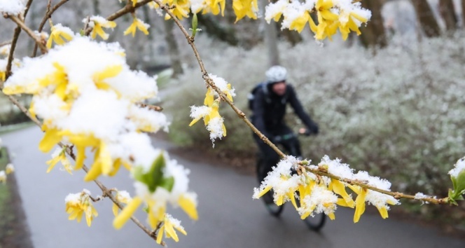 Almanya’da kar yağışı sokakları beyaza bürüdü