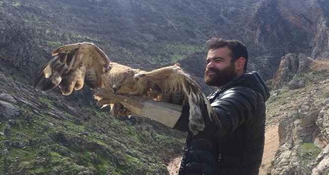 Şırnak’ta tedavi edilen şahinler doğaya bırakıldı
