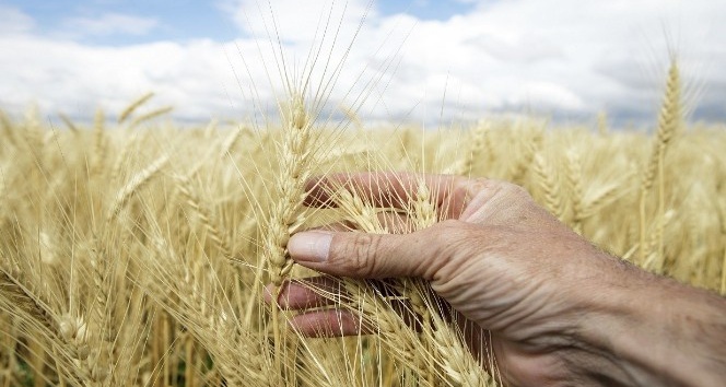 Süleyman Tiryakioğlu: “Türkiye asla gıda krizi yaşamayacak"