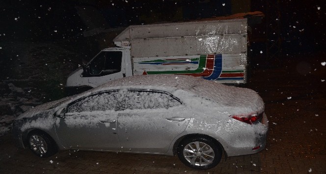 Baharı beklerken kara teslim oldular